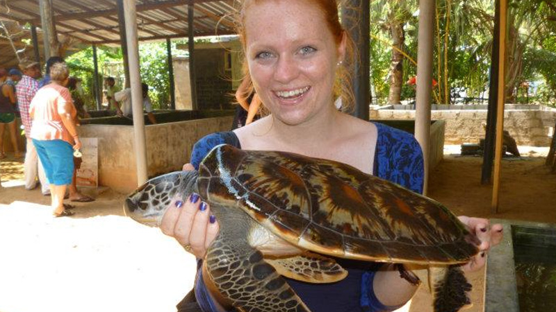 Turtle Hatchery Habaraduwa